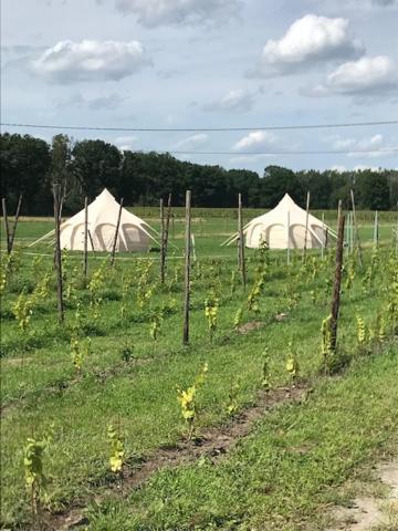 Natuur-Like Glamping In Bosland Pelt Luaran gambar