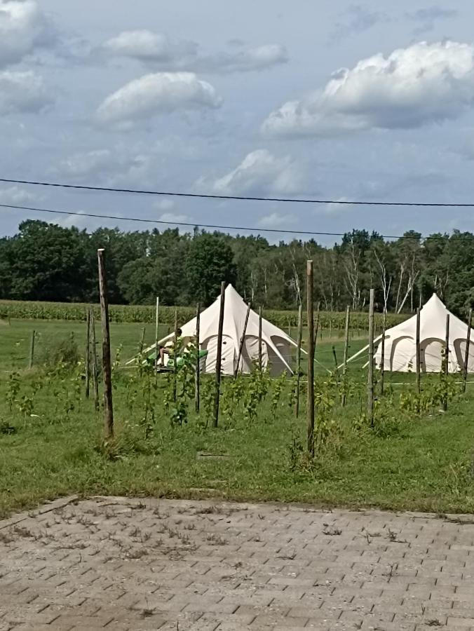 Natuur-Like Glamping In Bosland Pelt Luaran gambar