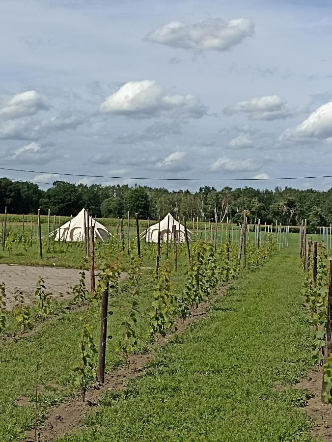 Natuur-Like Glamping In Bosland Pelt Luaran gambar