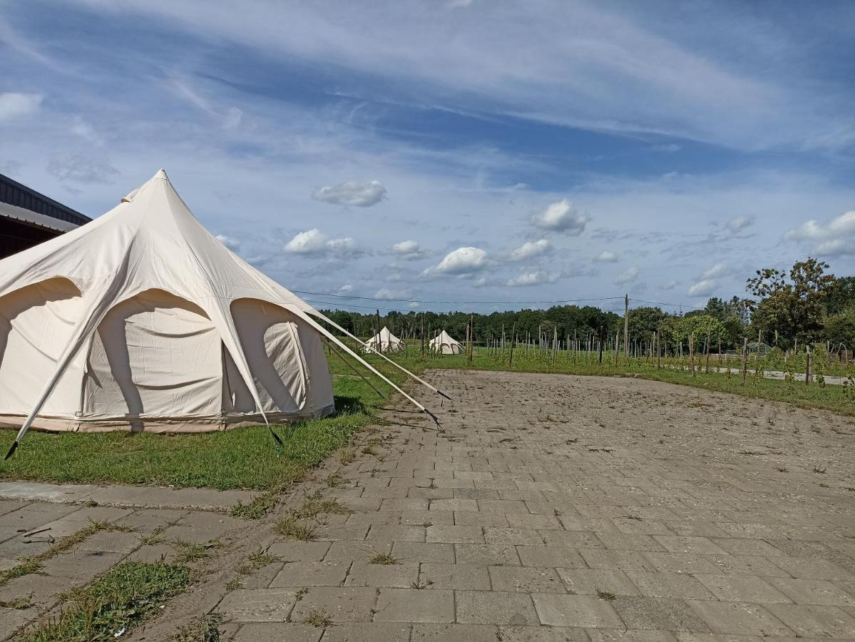 Natuur-Like Glamping In Bosland Pelt Luaran gambar