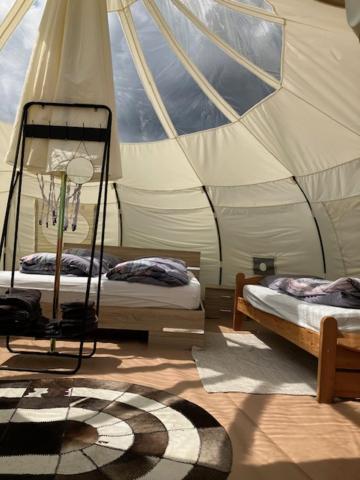 Natuur-Like Glamping In Bosland Pelt Luaran gambar